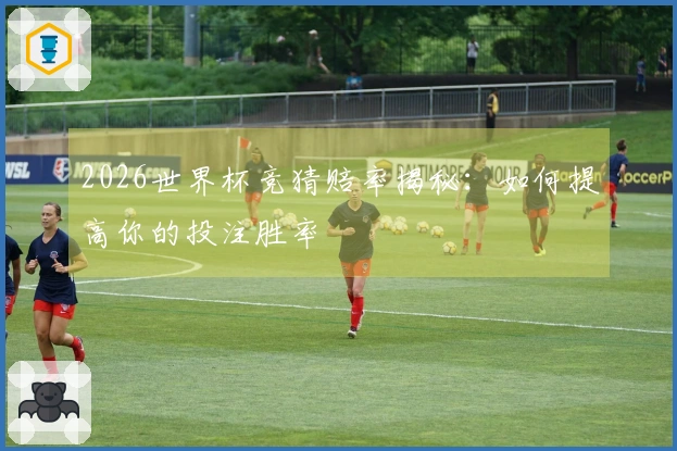 2026世界杯竞猜赔率揭秘：如何提高你的投注胜率