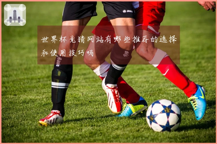 世界杯竞猜网站有哪些推荐的选择和使用技巧吗