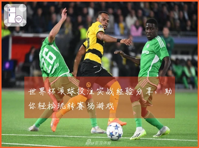 世界杯滚球投注实战经验分享，助你轻松玩转赛场游戏