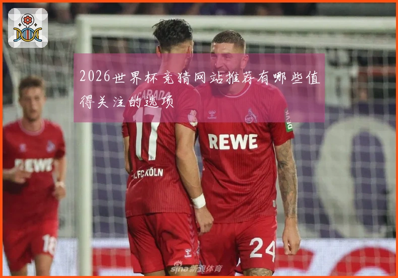 2026世界杯竞猜网站推荐有哪些值得关注的选项