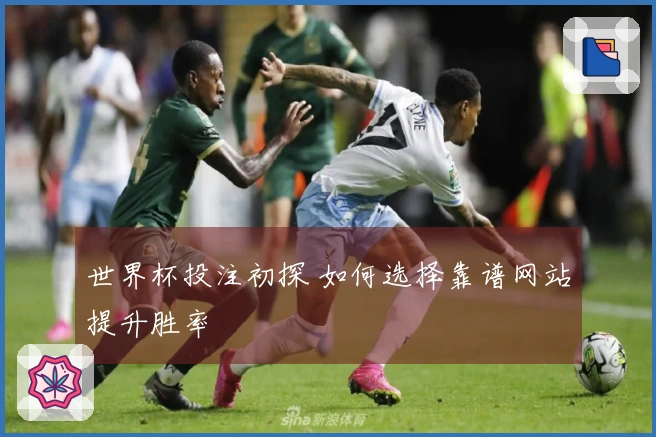 世界杯投注初探 如何选择靠谱网站提升胜率