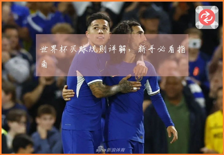 世界杯买球规则详解，新手必看指南